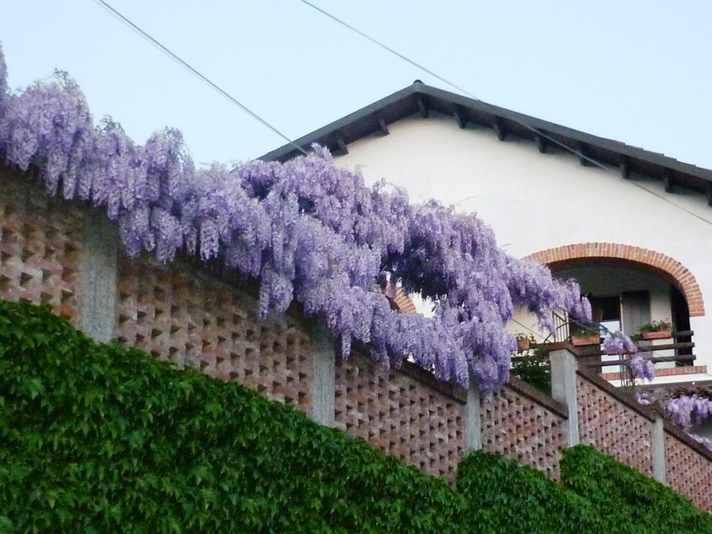 Bed And Breakfast Olimpia San Salvatore Monferrato Exterior foto